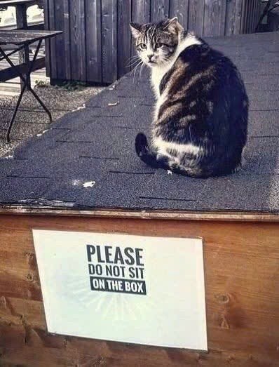 PLEASE DO NOT SIT ON THE BOX