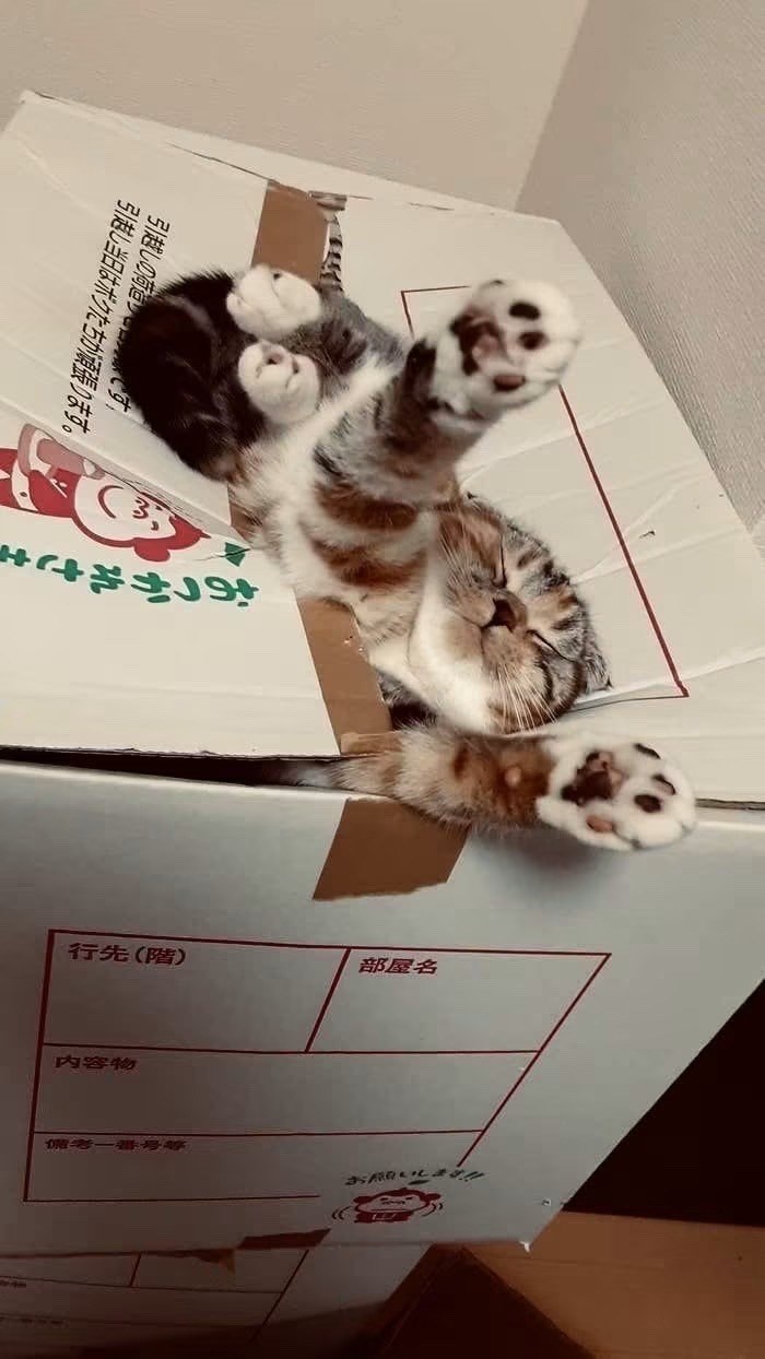 引越しの荷迫 です 引越し当日はボクたちが頑張ります。 おつかれされ 行先 ( 部屋名 內容物 お願いします!