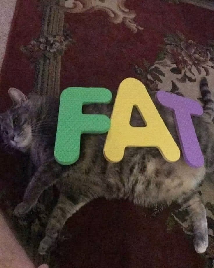 FA