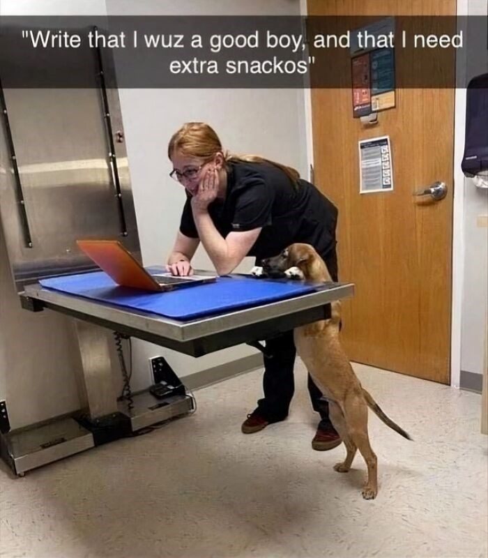 "Write that I wuz a good boy, and that I need extra snackos"