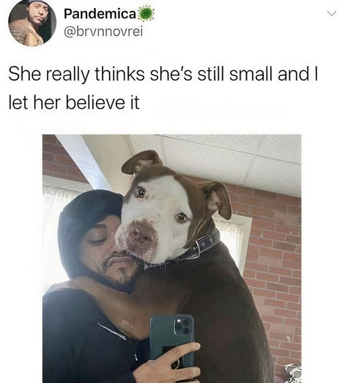 Pandemica @brvnnovrei She really thinks she's still small and I let her believe it