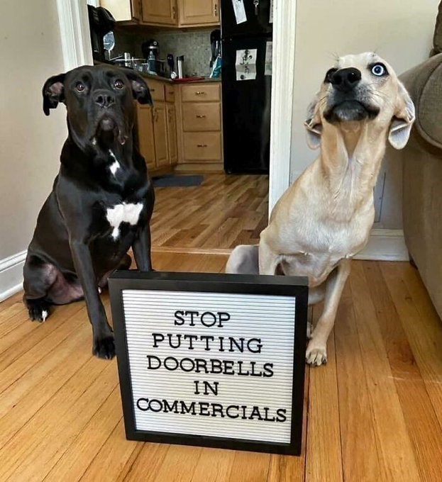 } STOP PUTTING DOORBELLS IN COMMERCIALS