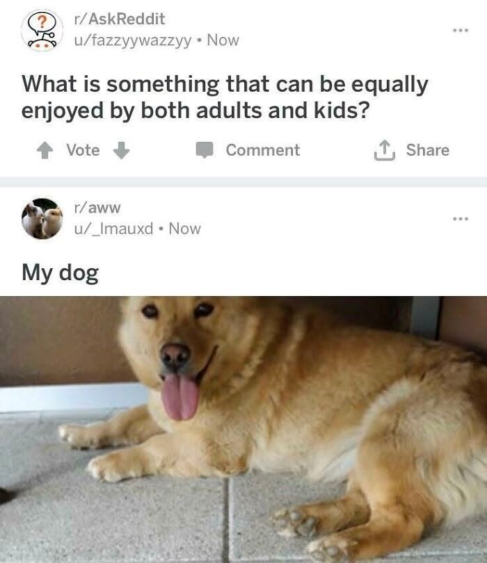 r/AskReddit u/fazzyywazzyy⚫ Now What is something that can be equally enjoyed by both adults and kids? Vote r/aww u/_Imauxd Now My dog Comment ↑ Share