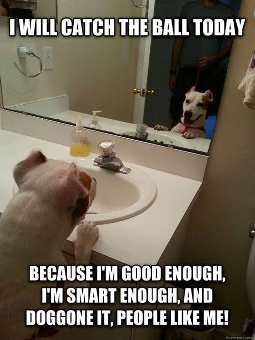 I WILL CATCH THE BALL TODAY BECAUSE I'M GOOD ENOUGH, I'M SMART ENOUGH, AND DOGGONE IT, PEOPLE LIKE ME! livememe.com