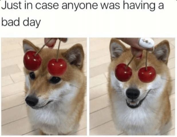 Just in case anyone was having a bad day