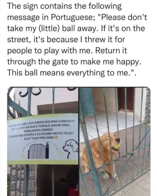 The sign contains the following message in Portuguese; "Please don't take my (little) ball away. If it's on the street, it's because I threw it for people to play with me. Return it through the gate to make me happy. This ball means everything to me.". POR FAVORI NÃO LEVE MINHA BOLINHA EMBORA!!! SE ELA ESTÁ NA RUA É PORQUE JOGUEI PARA BRINCAREM COMIGO. DEVOLVA NO PORTÃO E EU FICAREI MUITO FELIZ!! ELA É TUDO PRA MIM