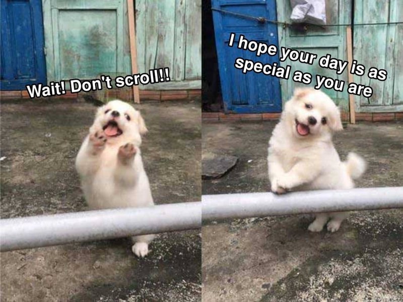 Wait! Don't scroll!! I hope your day is as special as you are