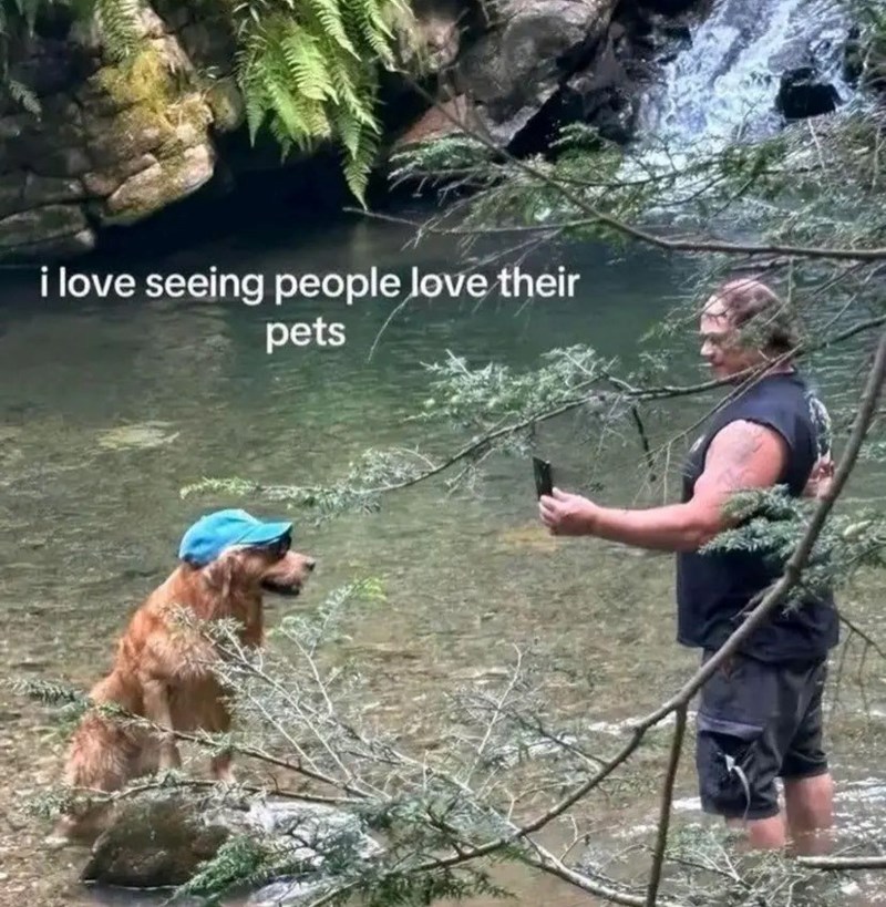 i love seeing people love their pets