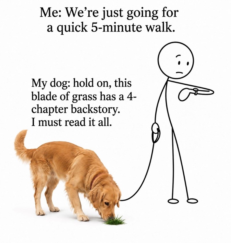 Me: We're just going for a quick 5-minute walk. My dog: hold on, this blade of grass has a 4- chapter backstory. I must read it all.