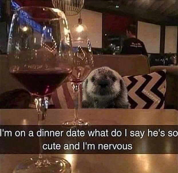 33 I'm on a dinner date what do I say he's so cute and I'm nervous