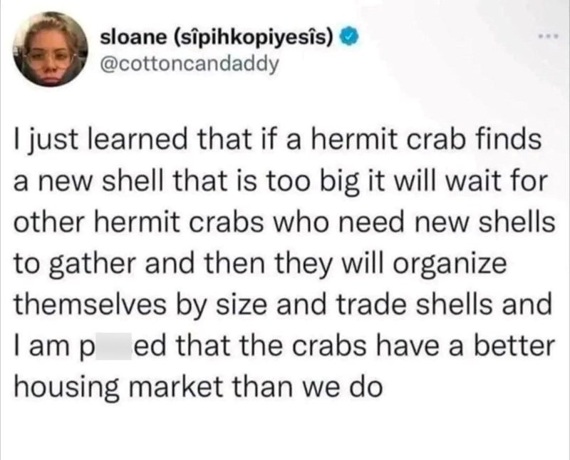 sloane (sipihkopiyesîs) ❤ @cottoncandaddy I just learned that if a hermit crab finds a new shell that is too big it will wait for other hermit crabs who need new shells to gather and then they will organize themselves by size and trade shells and ed that the crabs have a better I am p housing market than we do