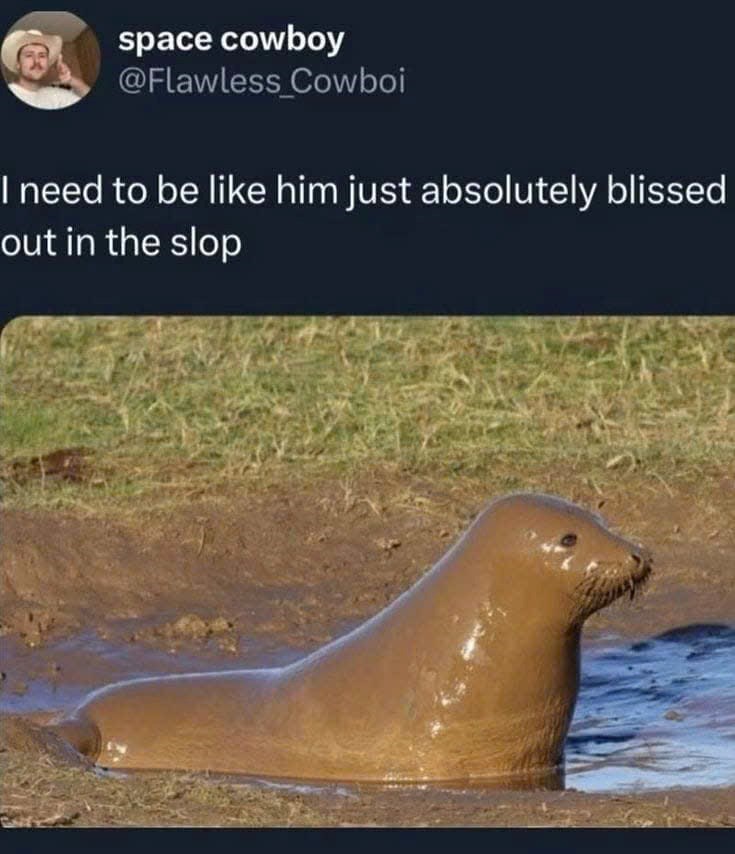 space cowboy @Flawless Cowboi I need to be like him just absolutely blissed out in the slop