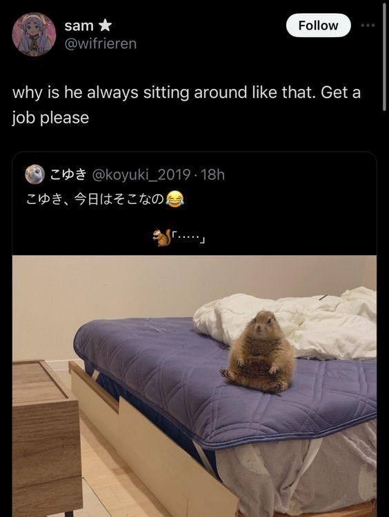 sam Follow @wifrieren why is he always sitting around like that. Get a job please @koyuki_2019.18h こゆき、今日はそこなの