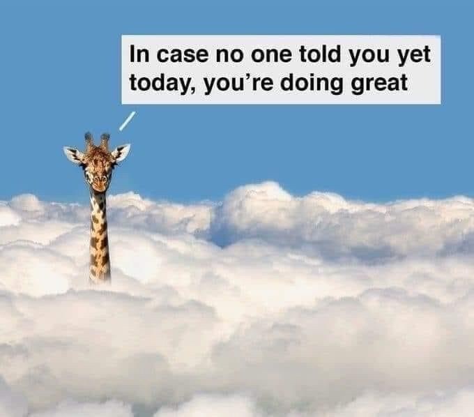 In case no one told you yet today, you're doing great