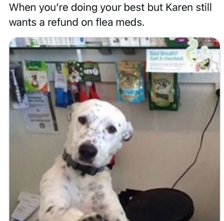 When you're doing your best but Karen still wants a refund on flea meds. 30 Bad Breath? Get it checked