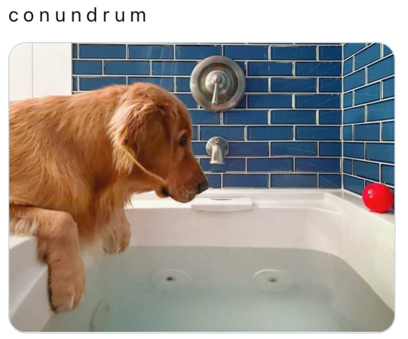 conundrum