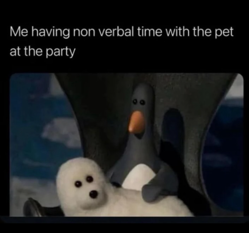 Me having non verbal time with the pet at the party