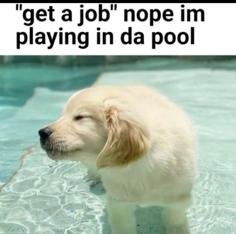 "get a job" nope im playing in da pool