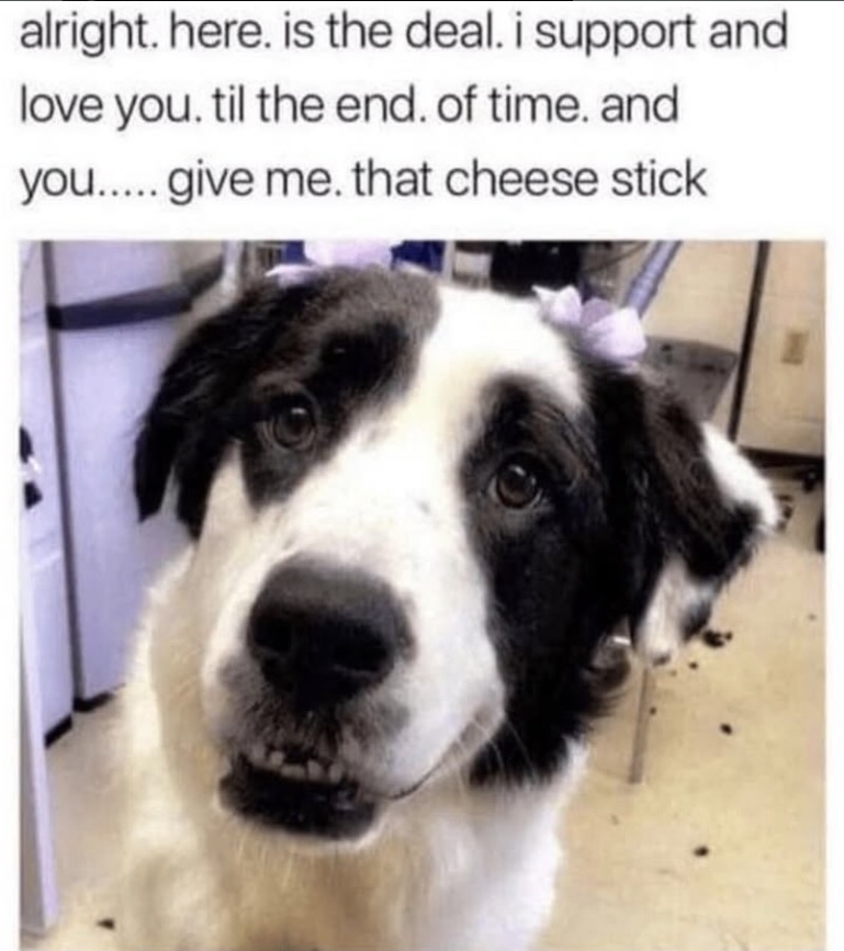 alright. here. is the deal. i support and love you. til the end. of time. and you..... give me. that cheese stick