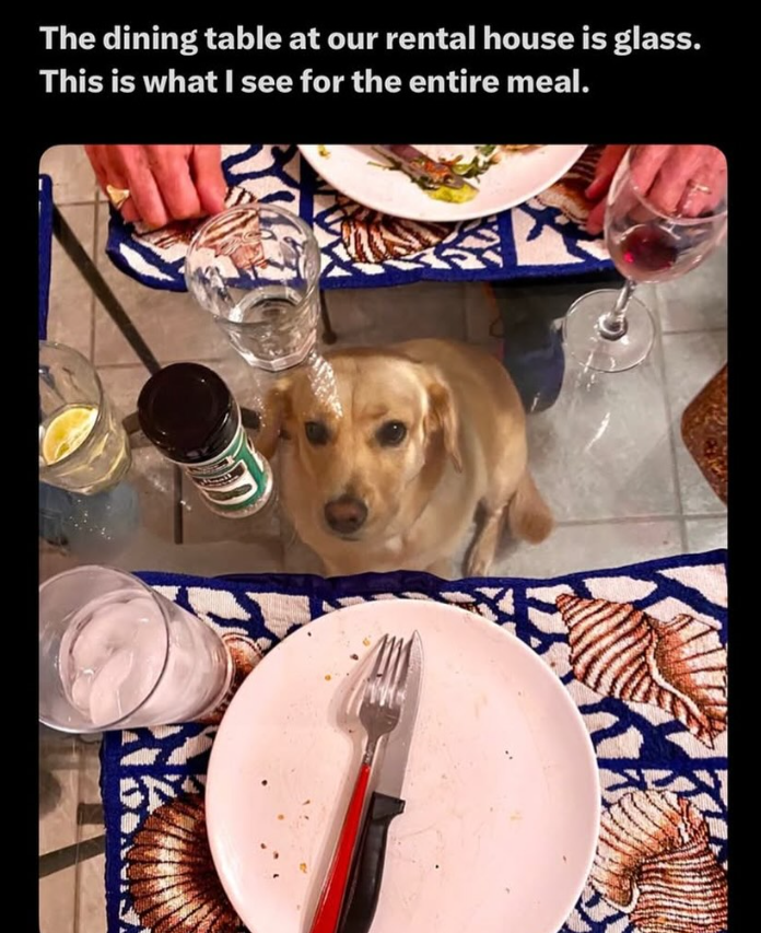 The dining table at our rental house is glass. This is what I see for the entire meal.