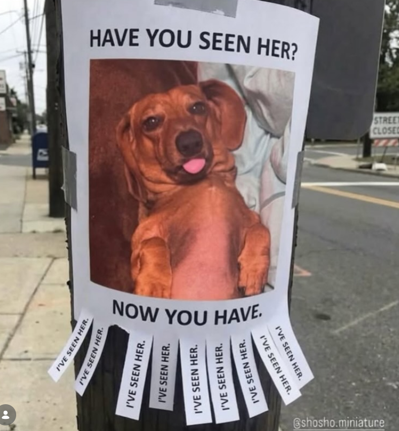 I'VE SEEN HER. I'VE SEEN HER. HAVE YOU SEEN HER? NOW YOU HAVE. I'VE SEEN HER. I'VE SEEN HER. I'VE SEEN HER. I'VE SEEN HER. I'VE SEEN HER. I'VE SEEN HER. SEEN HER. @shosho.miniature CLOSED STREET