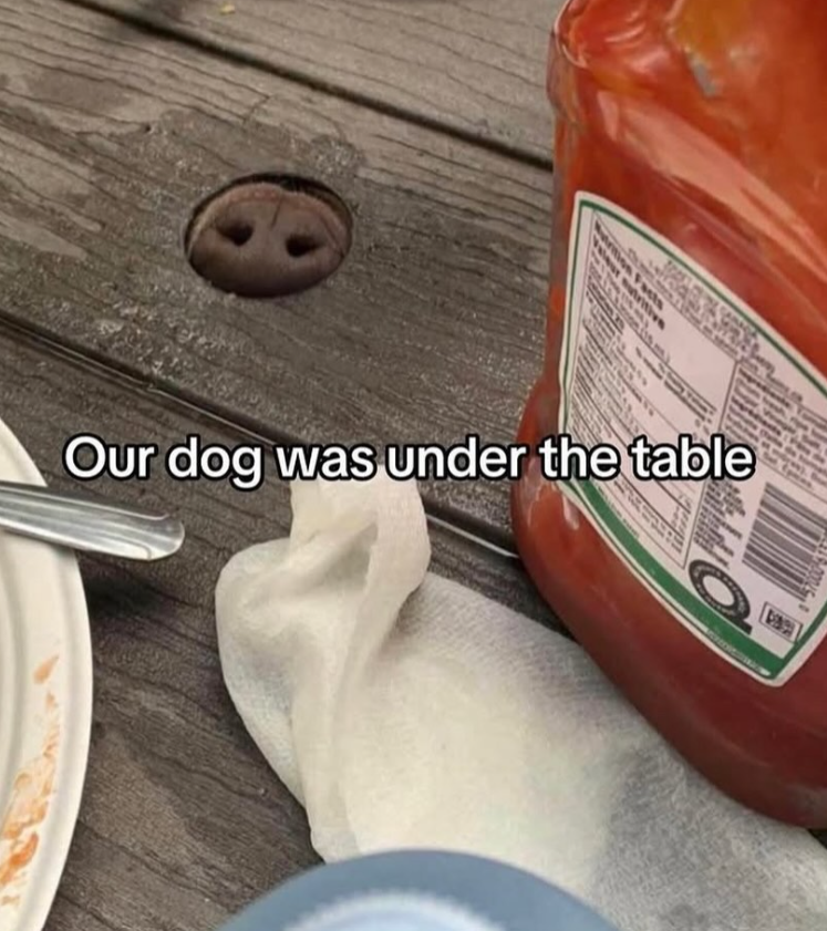 stutritiv Facts Our dog was under the table