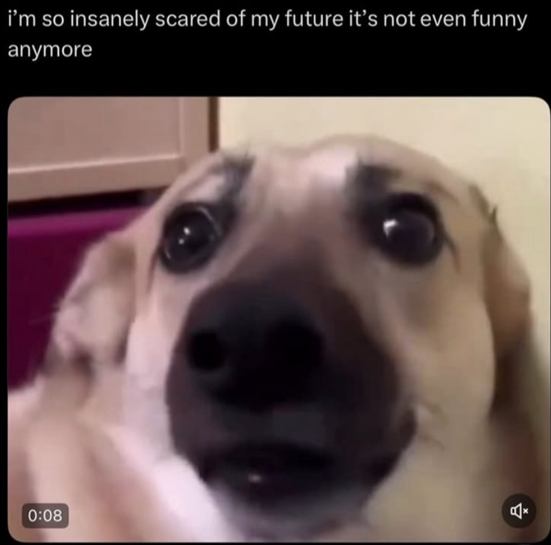 i'm so insanely scared of my future it's not even funny anymore 0:08