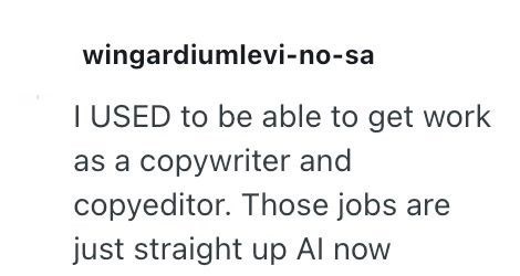 wingardiumlevi-no-sa I USED to be able to get work as a copywriter and copyeditor. Those jobs are just straight up Al now