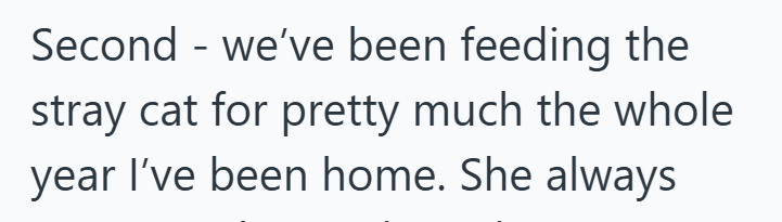 Second - we've been feeding the stray cat for pretty much the whole year I've been home. She always