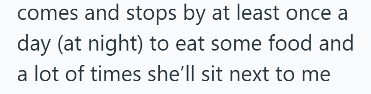 comes and stops by at least once a day (at night) to eat some food and a lot of times she'll sit next to me