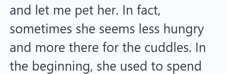 and let me pet her. In fact, sometimes she seems less hungry and more there for the cuddles. In the beginning, she used to spend