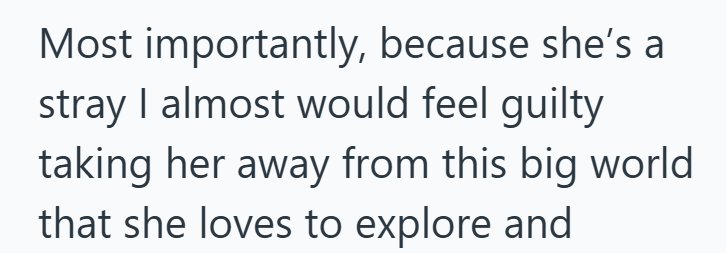 Most importantly, because she's a stray I almost would feel guilty taking her away from this big world that she loves to explore and