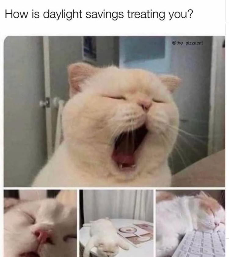 How is daylight savings treating you? @the_pizzacat
