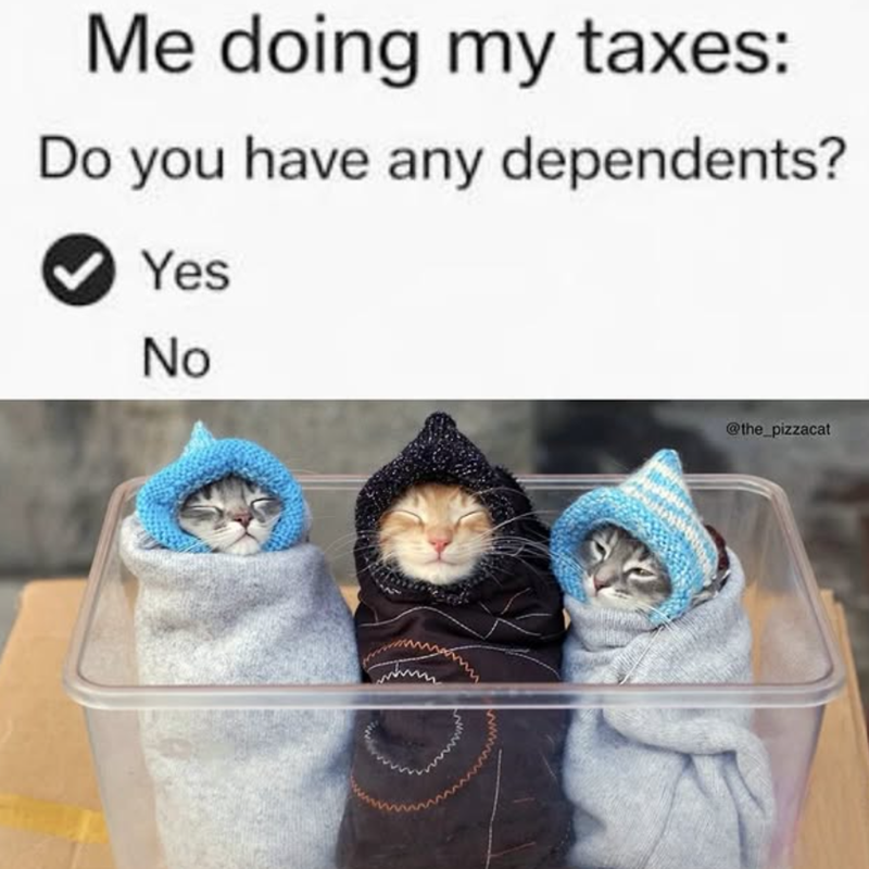 Me doing my taxes: Do you have any dependents? Yes No @the_pizzacat
