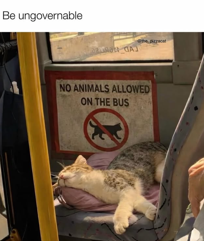 Be ungovernable @the_pizzacat NO ANIMALS ALLOWED ON THE BUS