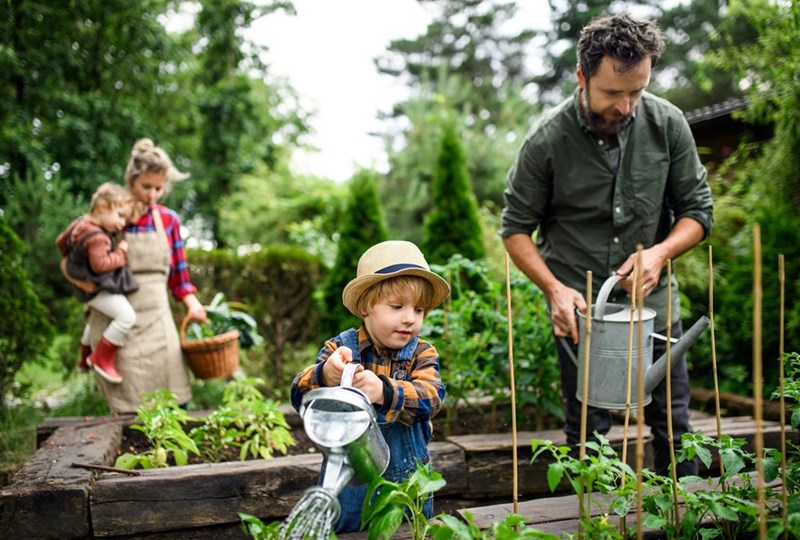 Family working together in a community garden.