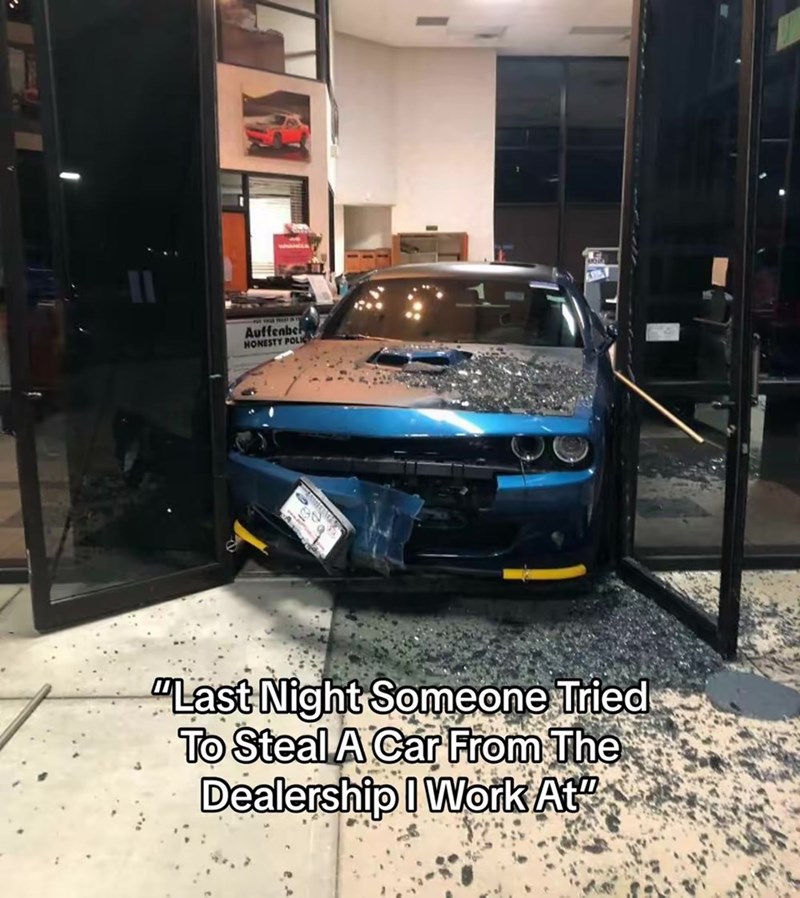 Auffenber HONESTY POLI "Last Night Someone Tried To Steal A Car From The Dealership I Work At"