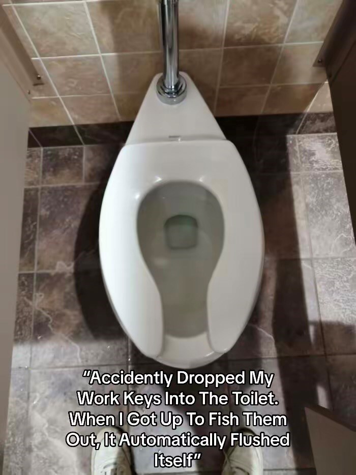 "Accidently Dropped My Work Keys Into The Toilet. When I Got Up To Fish Them Out, It Automatically Flushed Itself"