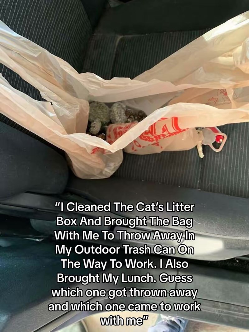 "I Cleaned The Cat's Litter Box And Brought The Bag With Me To Throw Away In My Outdoor Trash Can On The Way To Work. I Also Brought My Lunch. Guess which one got thrown away and which one came to work with me"