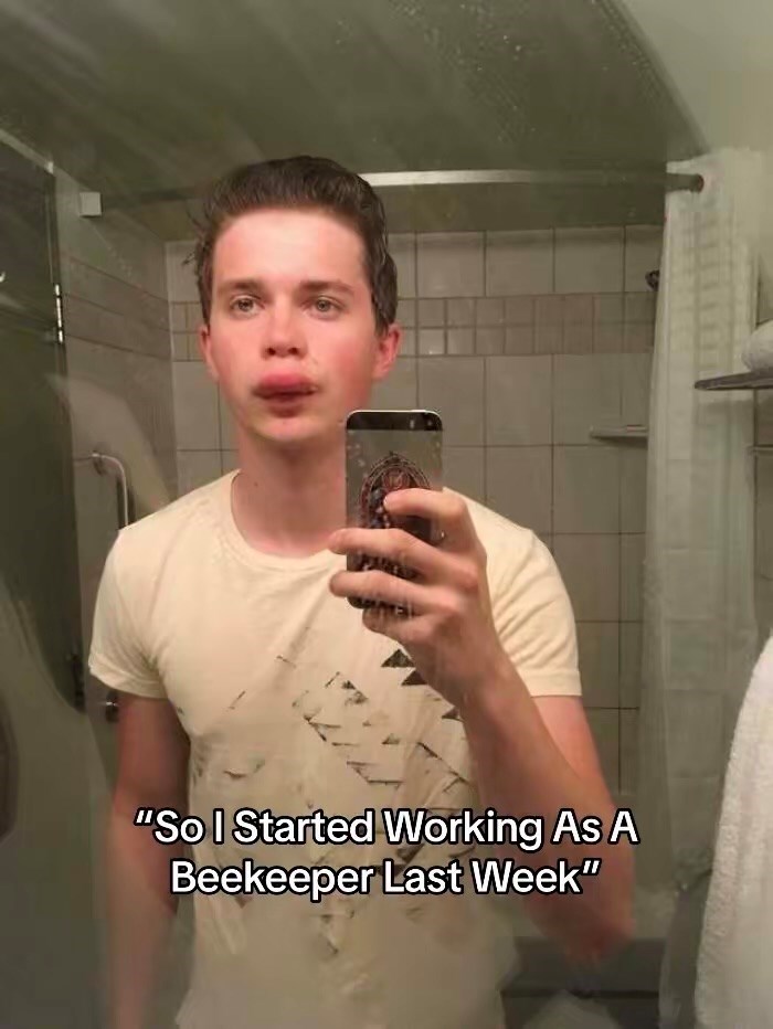 "So I Started Working As A Beekeeper Last Week"