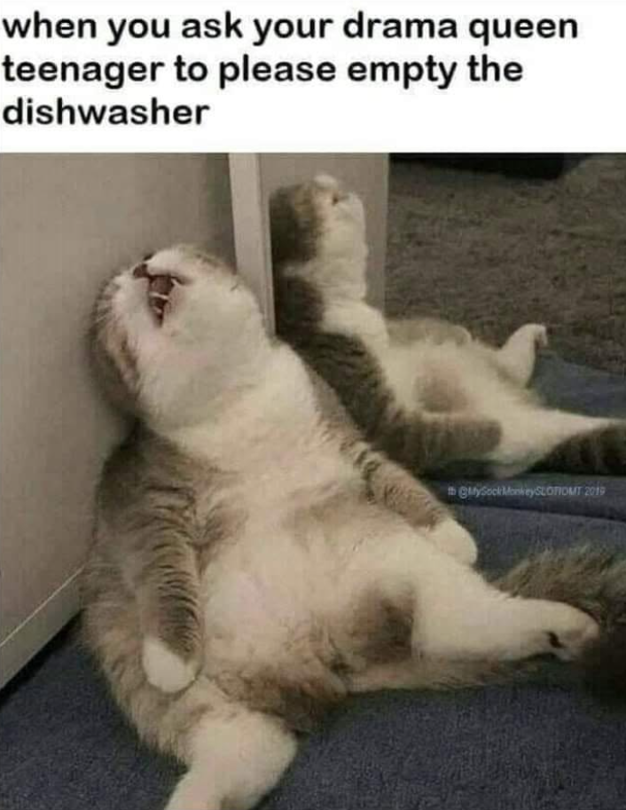 when you ask your drama queen teenager to please empty the dishwasher GMySock MonkeySLOTIOMT 2019