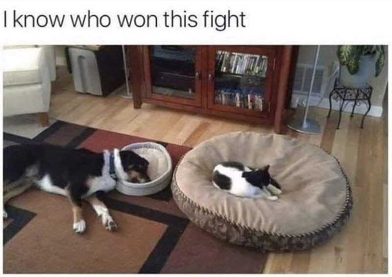 I know who won this fight