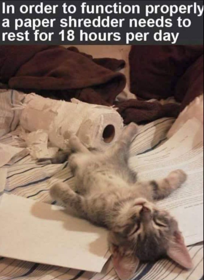 In order to function properly a paper shredder needs to rest for 18 hours per day