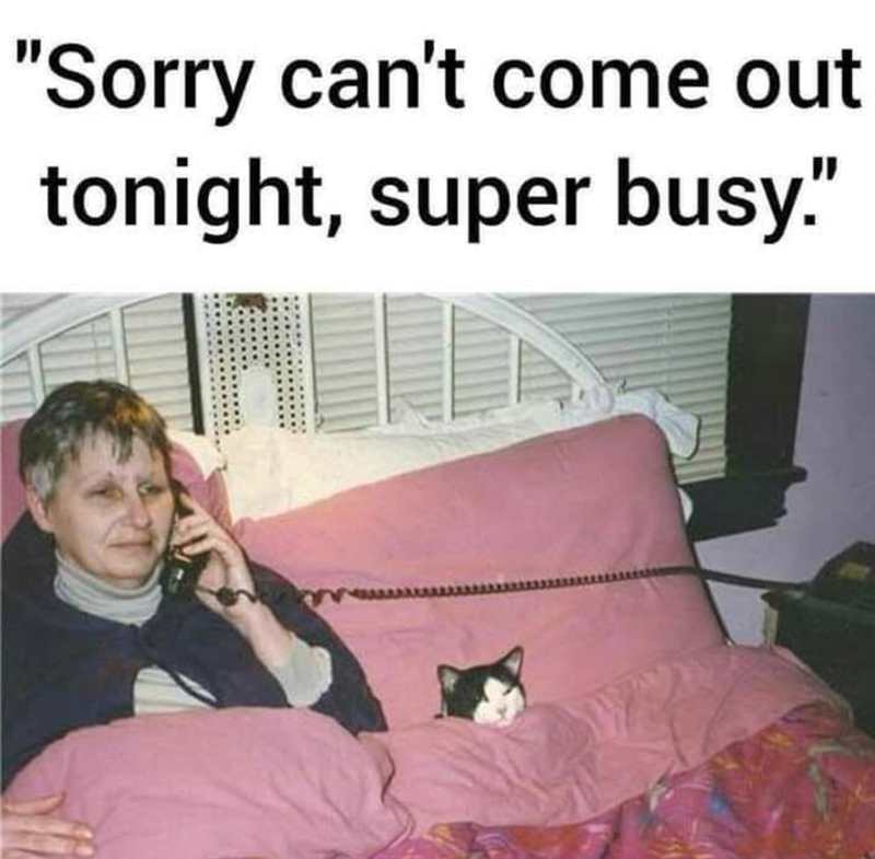 "Sorry can't come out tonight, super busy."