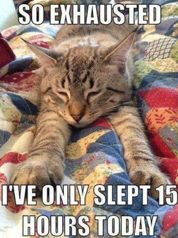SO EXHAUSTED I'VE ONLY SLEPT 15 HOURS TODAY