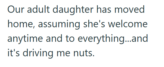 Our adult daughter has moved home, assuming she's welcome anytime and to everything...and it's driving me nuts.