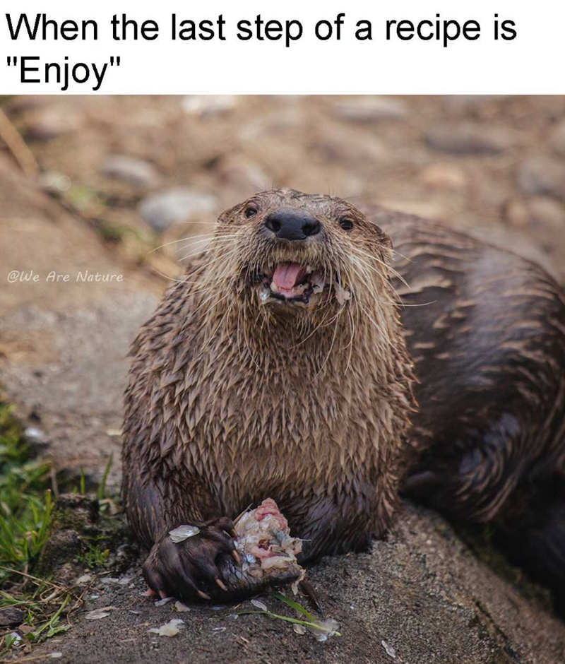 When the last step of a recipe is "Enjoy" @We Are Nature