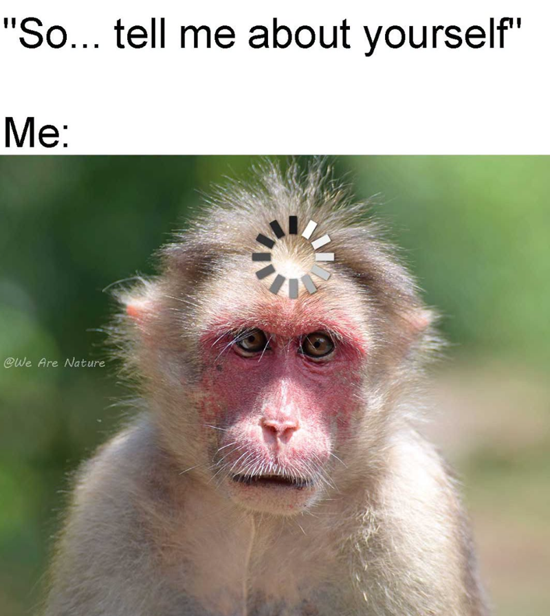 "So... tell me about yourself" Me: @We Are Nature