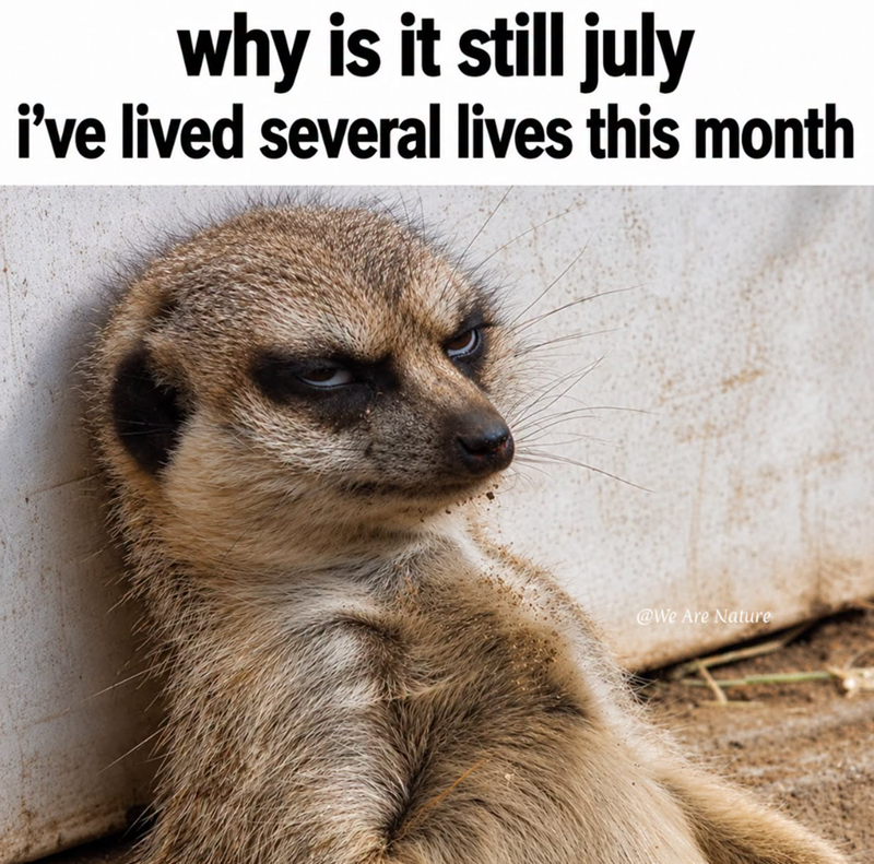 why is it still july i've lived several lives this month @We Are Nature