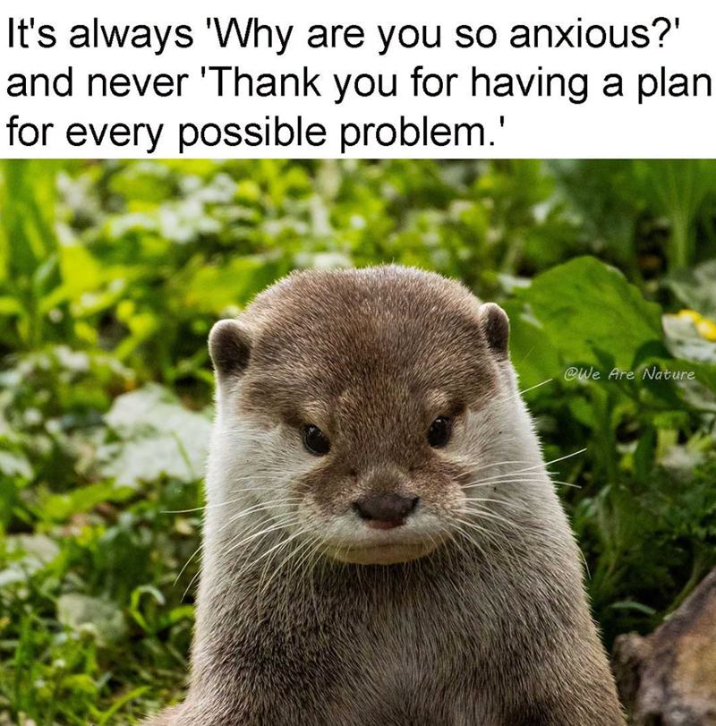 It's always 'Why are you so anxious?' and never 'Thank you for having a plan for every possible problem.' @We Are Nature